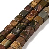 Natural Picasso Jasper Beads Strands G-Q161-C01-02-1