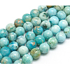 Natural Gemstone Hemimorphite Round Beads Strands G-L145-10mm-01-1