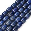 Natural Lapis Lazuli Beads Strands G-H319-A01-01-2