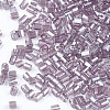 FGB Grade A Glass Seed Beads SEED-S022-03F-2