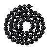 1 Strand Natural Shungite Beads Strands G-TA0003-34B-1