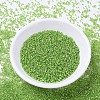 MIYUKI Delica Beads Small SEED-X0054-DBS1206-2