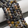 Natural Sodalite Beads Strands G-F591-13-2