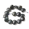 Natural Labradorite Beads Strands G-G996-B11-2