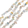 1 Strand Natural Morganite Beads Strands G-OC0004-51-1