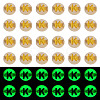 50G Luminous Transparent Acrylic Beads OACR-TAD0001-01K-1