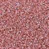 MIYUKI Delica Beads SEED-JP0008-DB1481-3