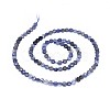 Natural Iolite Beads Strands G-I249-A04-2