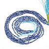 Natural Sodalite Beads Strands X-G-J002-09-2
