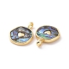 Natural Abalone Shell/Paua Shell Pendants KK-C004-11G-02-2
