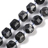 Natural Larvikite Beads Strands G-B125-O05-01-1