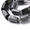 Natural Hawk's Eye Beads Strands G-S345-8x11-009-3