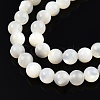 Natural White Shell Bead Strands SSHEL-N003-144D-01-3