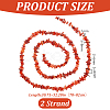Natural Freshwater Shell Beads Strands BSHE-WH0006-05C-2