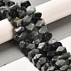 Natural Eagle Eye Stone Beads Strands G-N327-05-15-2