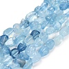 Natural Aquamarine Beads Strands G-P568-C13-01-2