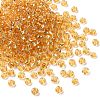 6/0 Transparent Glass Round Seed Beads X-SEED-J010-F6-22B-4