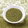 MIYUKI Delica Beads SEED-X0054-DB2164-2