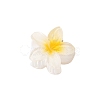 Plastic Claw Hair Clips PW-WG07B2B-01-1