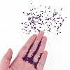 11/0 FGB Grade A Round Glass Seed Beads SEED-N001-A-1055-4