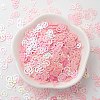 Ornament Accessories Plastic Paillette/Sequins Beads PVC-E001-13-RC01-4