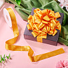 1 Roll Imitation Leather Polyester Ribbon LC-TA0001-02G-6