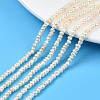Natural Cultured Freshwater Pearl Beads Strand PEAR-N015-03B-1