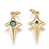 Brass Micro Pave Cubic Zirconia Charms ZIRC-G168-53G-02-2