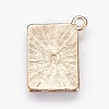 Alloy Enamel Pendants ENAM-O035-19G-B-2