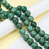 Natural Howlite Beads Strands G-C180-16F-4