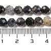 Natural Iolite Beads Strands G-A097-A14-09-5
