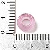 Glass European Beads GLAA-XCP0001-42B-3