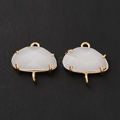 K9 Glass Connector Charms KK-E071-24KCG-03-1