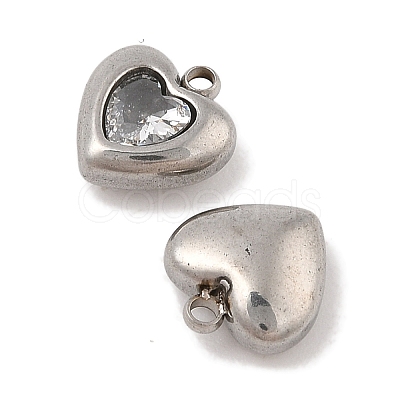 304 Stainless Steel Micro Pave Cubic Zirconia Charms STAS-S131-17P-04-1