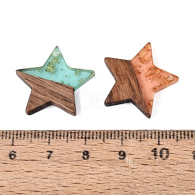 Opaque & Transparent Resin & Walnut Wood Pendants RESI-N053-31-1