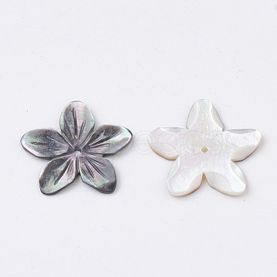 Natural Black Lip Shell Beads SHEL-S269-70-1