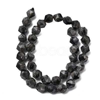 Natural Larvikite Beads Strands G-Z119-A32-03-1