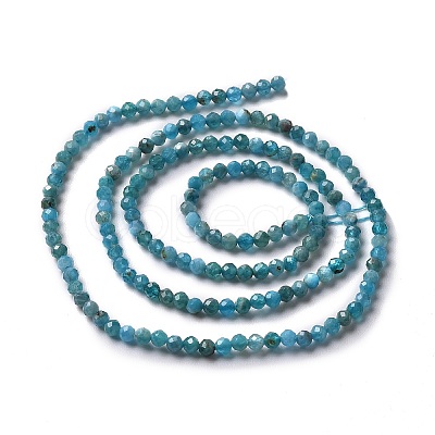 Natural Apatite Beads Strands X-G-E411-36-2mm-01-1