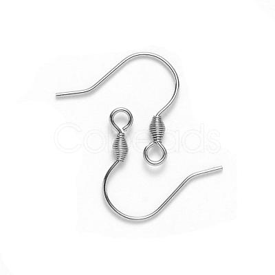 Tarnish Resistant 304 Stainless Steel Earring Hooks STAS-S111-011-1