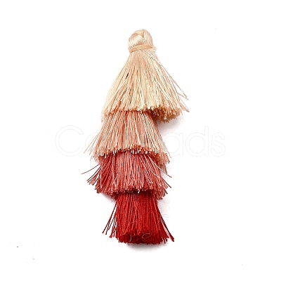 Polyester Tassel Pendants FIND-D303-02O-1