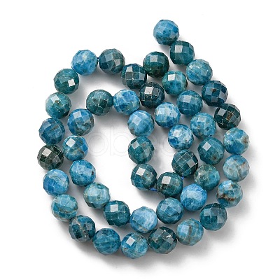 Natural Apatite Beads Strands LS-G-G927-32-8MM-1
