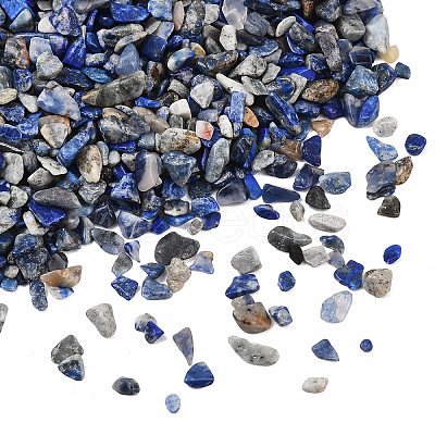 Natural Lapis Lazuli Chip Beads G-O103-21-1
