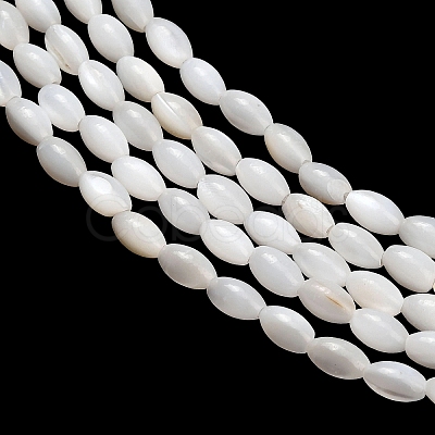 Natural Freshwater Shell Beads Strands SHEL-C010-03B-1
