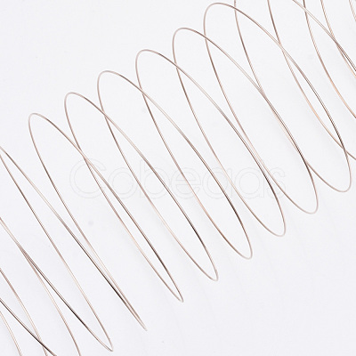 Steel Memory Wire TWIR-R006-0.6x60-RG-NF-1
