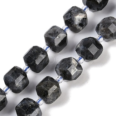 Natural Larvikite Beads Strands G-B125-O05-01-1