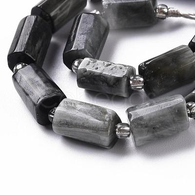 Natural Hawk's Eye Beads Strands G-S345-8x11-009-1