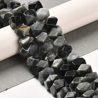 Natural Eagle Eye Stone Beads Strands G-N327-05-15-1