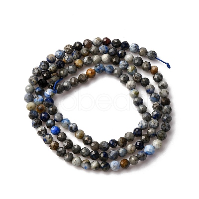 Natural Lapis Lazuli Beads Strands G-L629-B01-3mm-03-1