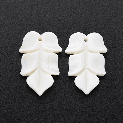 Natural Freshwater Shell Beads SHEL-S276-156-1