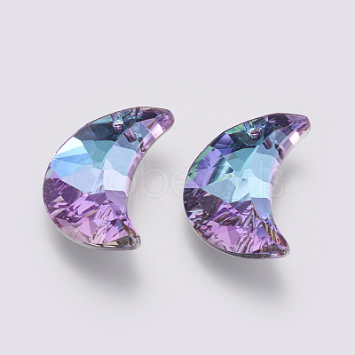 K9 Glass Rhinestone Pendants GLAA-K034-G02-1